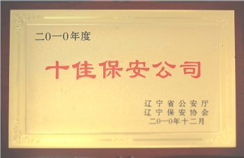 十佳保安公司