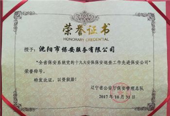 十九大先進保安公司